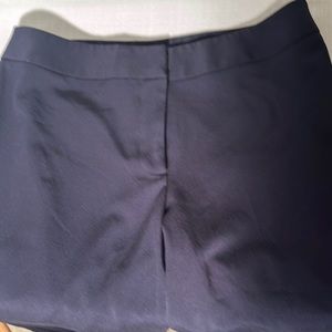 Investment Petites navy Blue slacks 16p